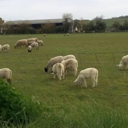 Maison Au Pied Des Dunes, 200m De La Montmartin-sur-Mer