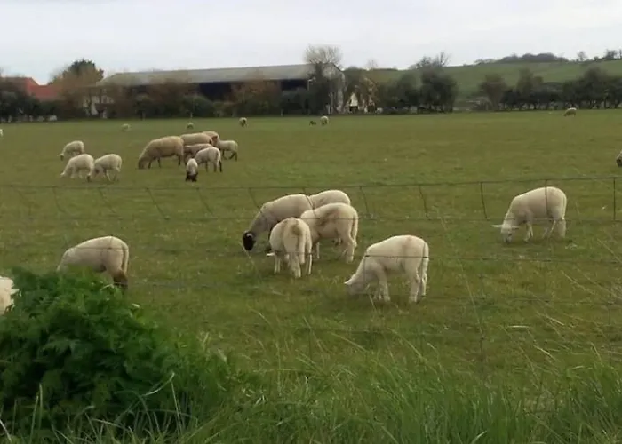 Maison Au Pied Des Dunes, 200m De La Montmartin-sur-Mer