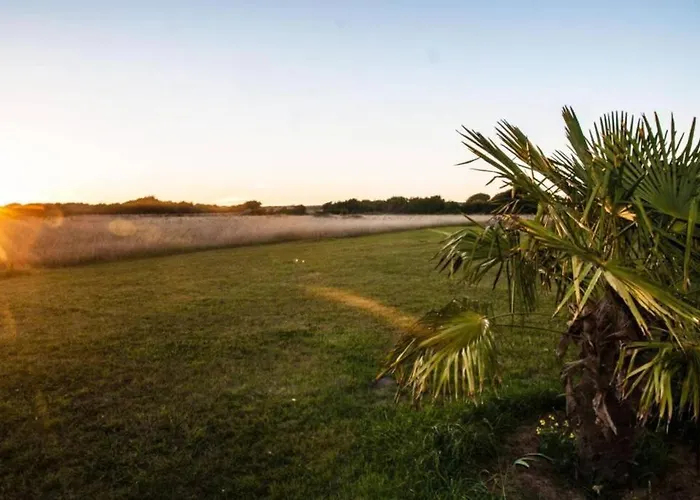 Maison Au Pied Des Dunes, 200m De La Montmartin-sur-Mer